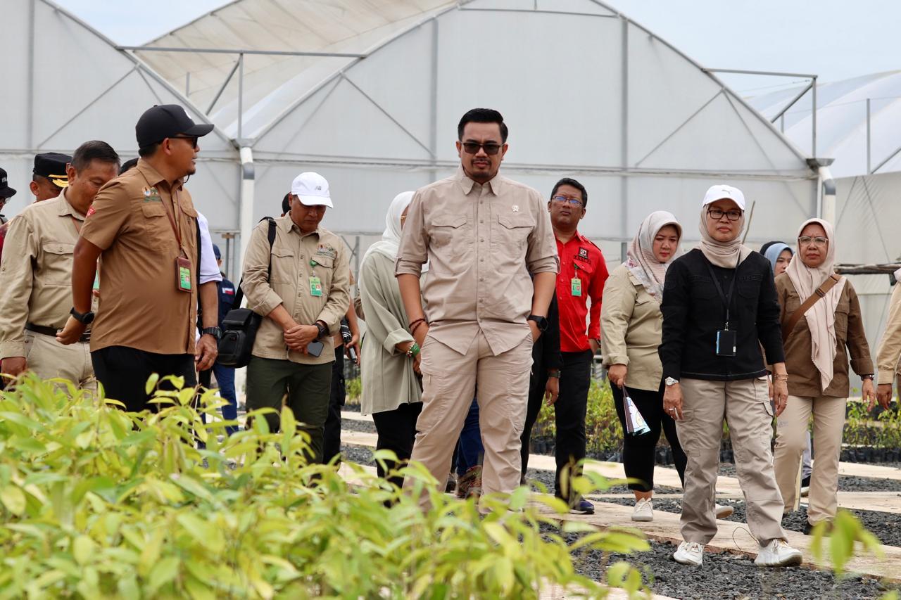 Wakil Menteri Kehutanan RI Tinjau Persemaian Liang Anggang Banjarbaru