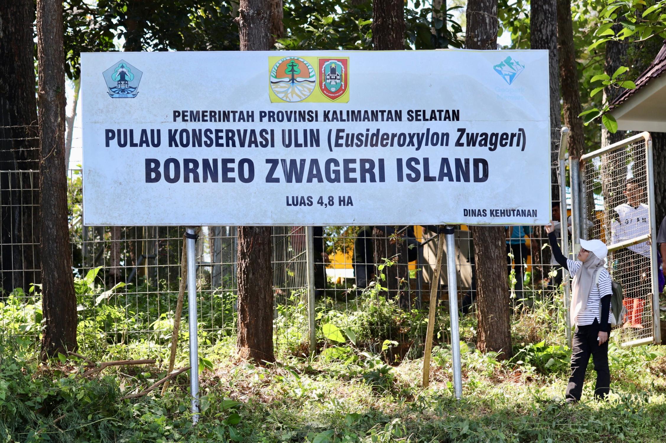 Dinas Kehutanan Kalsel Lakukan Pemeliharaan Tanaman Ulin di Pulau Ulin Tahura Sultan Adam