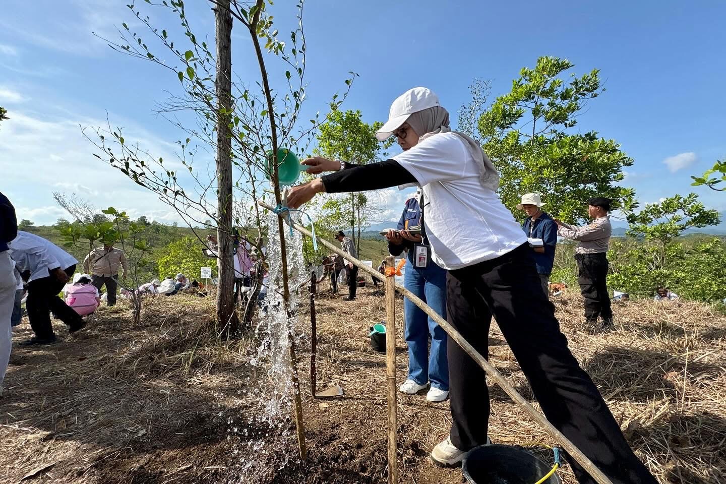 Kadishut Kalsel Ikuti Penanaman Pohon Program Penghijauan Tahura Sultan Adam Oleh PT. PLN