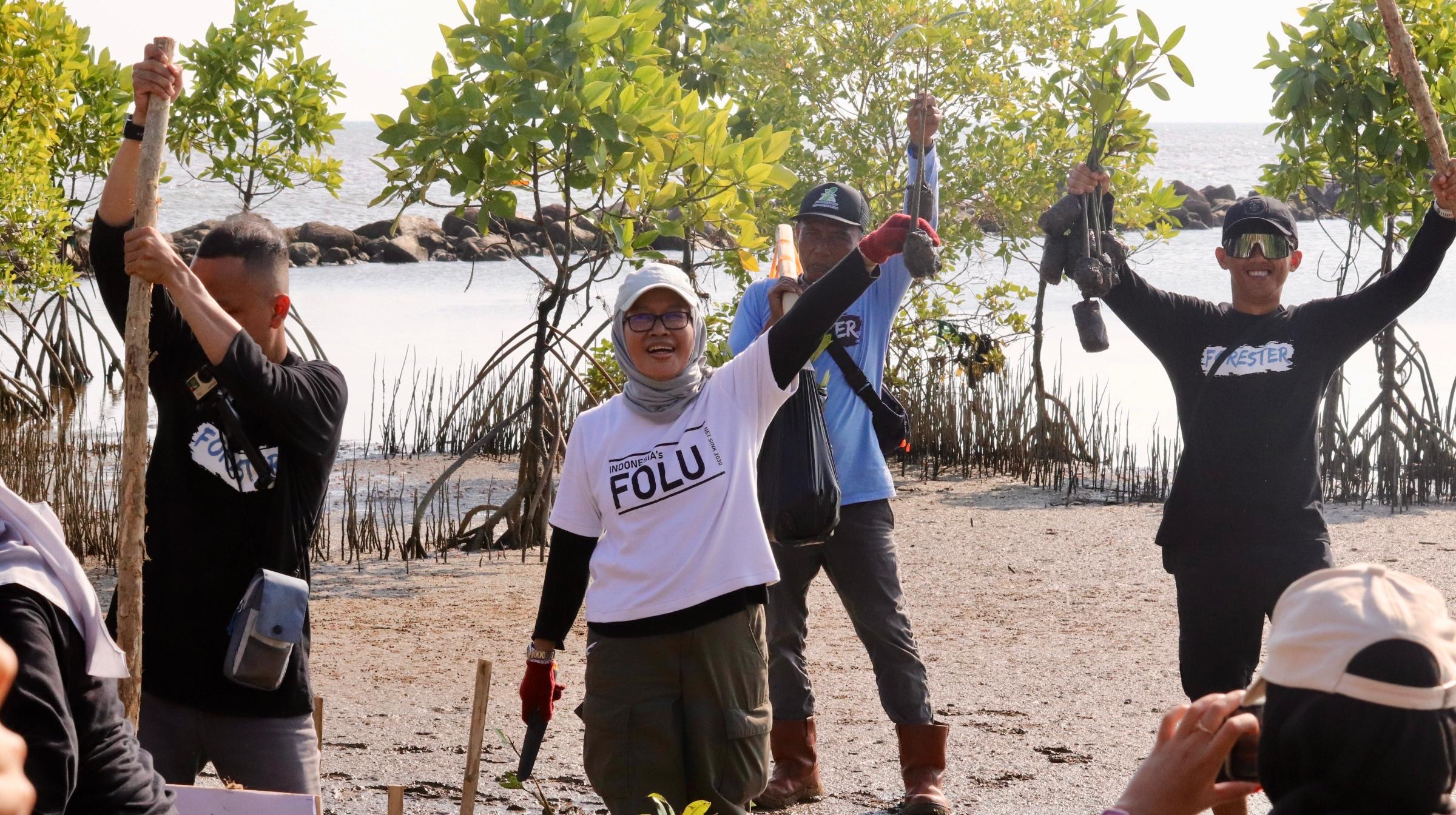 Peringati Hari Mangrove Sedunia, Dishut Kalsel Gelar Aksi Bersih Pantai dan Tanam 1.000 Batang Rizhopora di Takisung