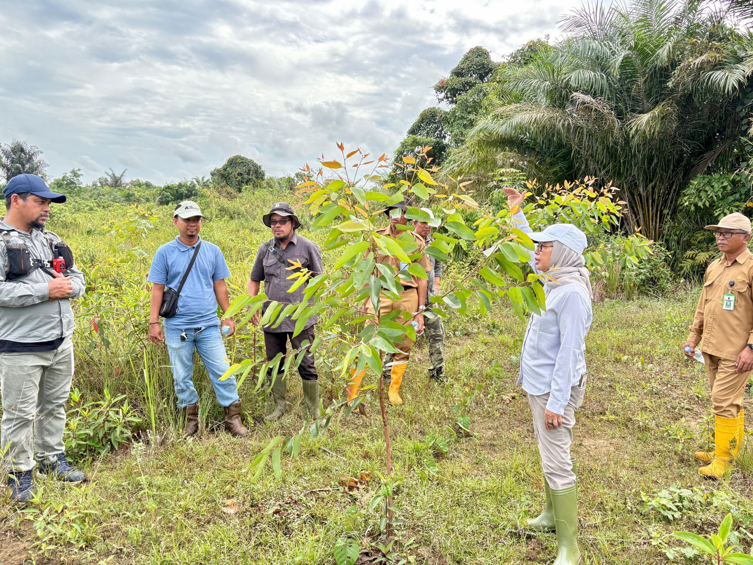 Kepala Dinas Kehutanan Kalsel Tinjau Kawasan Industri Batulicin untuk Pantau Rehabilitasi Hutan dan Lahan